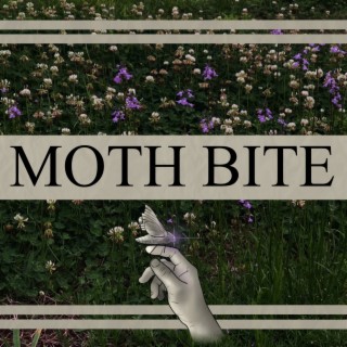 Moth Bite