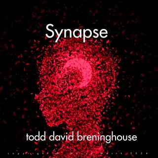 Synapse