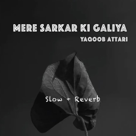 Mere Sarkar Ki Galiya | Boomplay Music