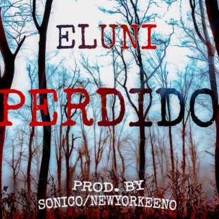 Perdido lyrics | Boomplay Music