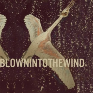 Blown Into the Wind