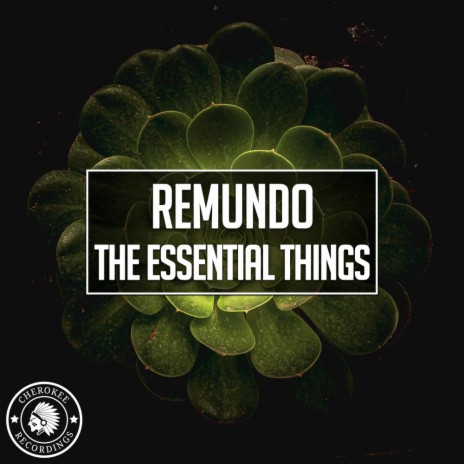 The Essential Things (Extended Mix)