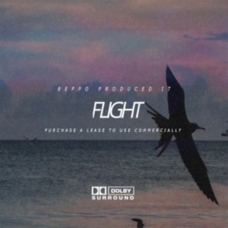 Flight Riddim