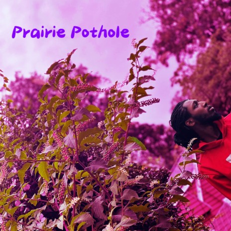 Prairie Pothole ft. Junie B | Boomplay Music