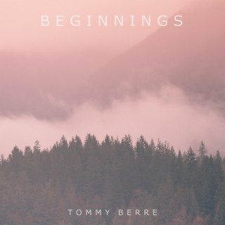 Beginnings