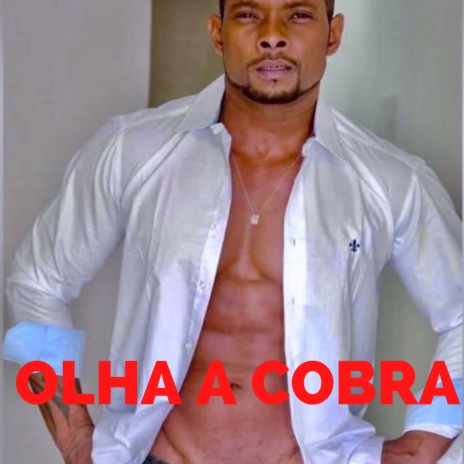 OLHA A COBRA | Boomplay Music