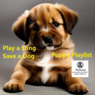 Play a Song Save a Dog Puppy Playlist