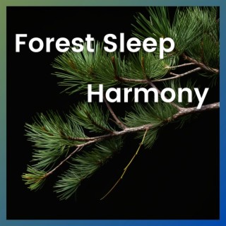 Forest Sleep Harmony