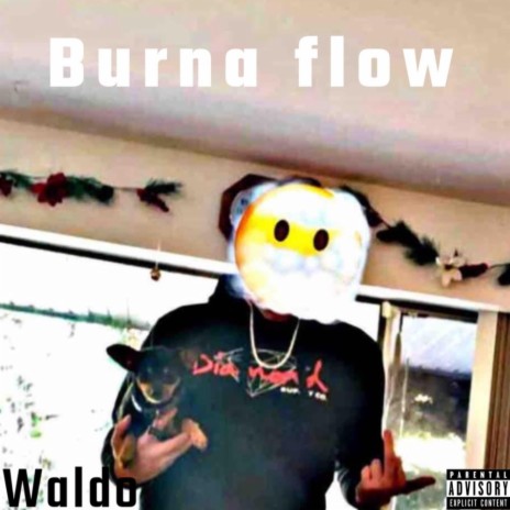 Burna flow