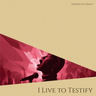 I Live To Testify lyrics | Boomplay Music