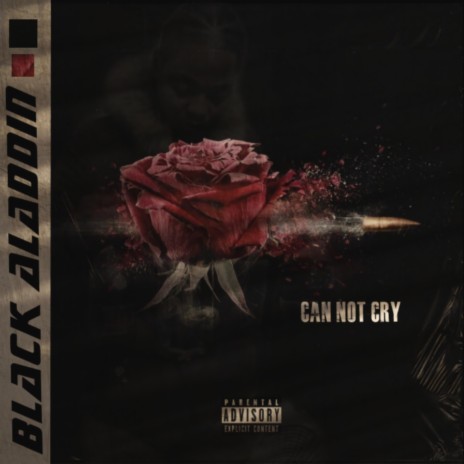 Can Not Cry | Boomplay Music