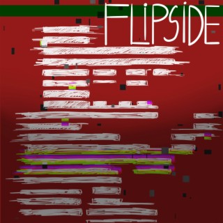 Flipside