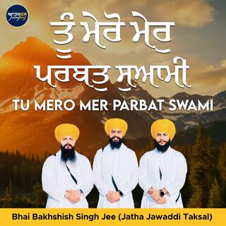 Tu Mero Mer Parbat Swami