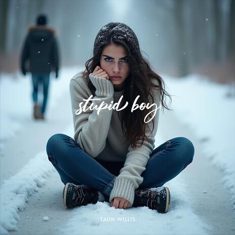 Stupid Boy | Boomplay Music