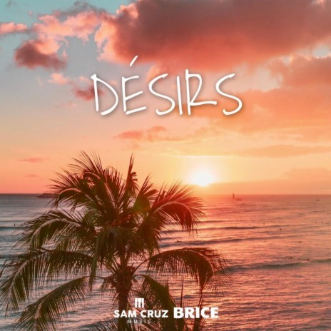 Désirs (Extended) ft. Brice | Boomplay Music