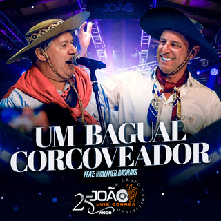 Um Bagual Corcoveador