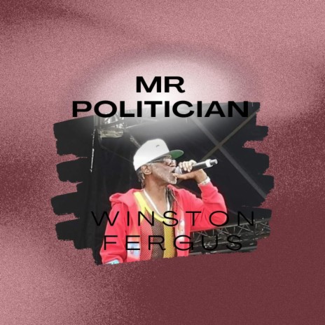 Mr Politician