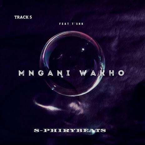 Mngani wakho ft. T'snk | Boomplay Music