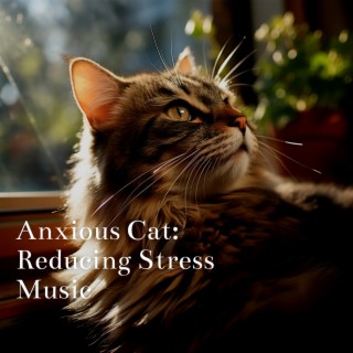 Anxious Cat: Reducing Stress Music