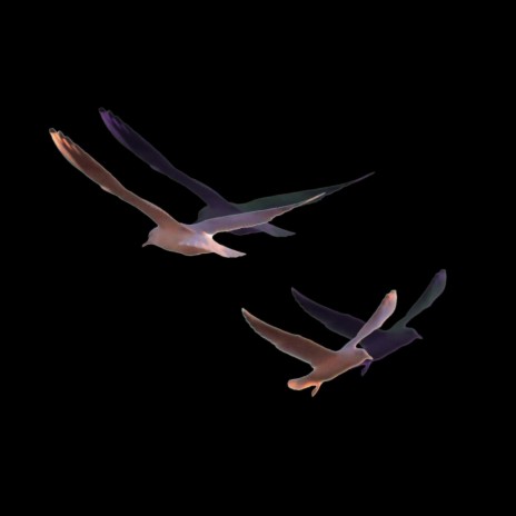 Atomic Birds (Vega Edition)