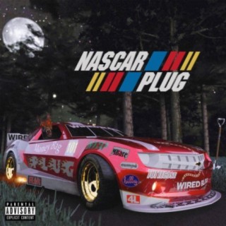 NASCAR PLUG