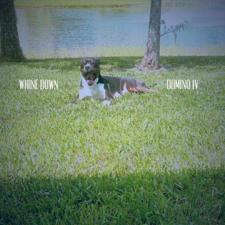 Whine Down | Boomplay Music