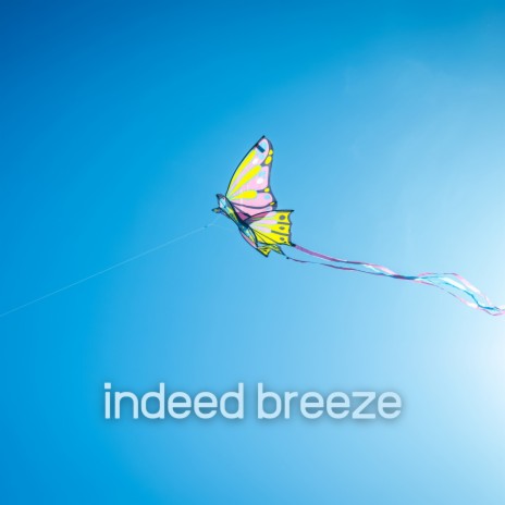 Indeed Breeze (Mind and Body) | Boomplay Music