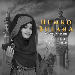 Humko Bulana (Lofi-Mix)