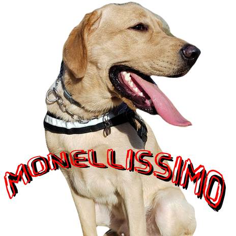 Monellissimo | Boomplay Music