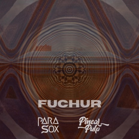 Fuchur ft. pineal pulp | Boomplay Music