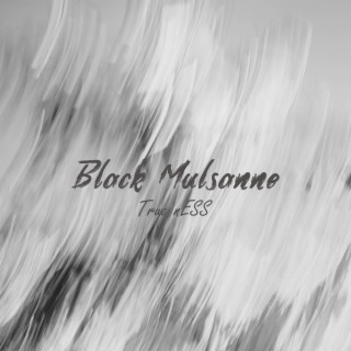 Black Mulsanne lyrics | Boomplay Music
