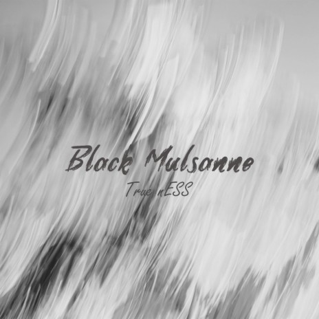 Black Mulsanne