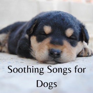 Soothing Dog Songs