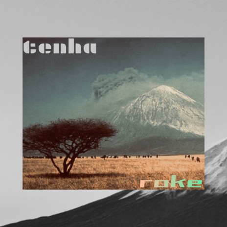 Tenha | Boomplay Music