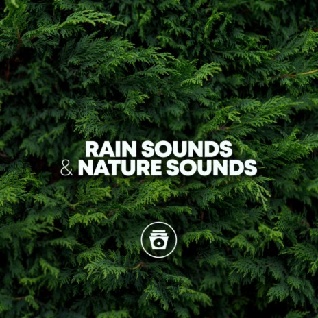 Afternoon Rain | Boomplay Music