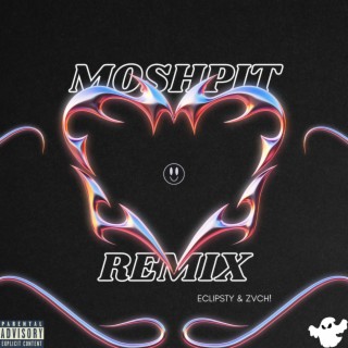 MOSHPIT (Remix)