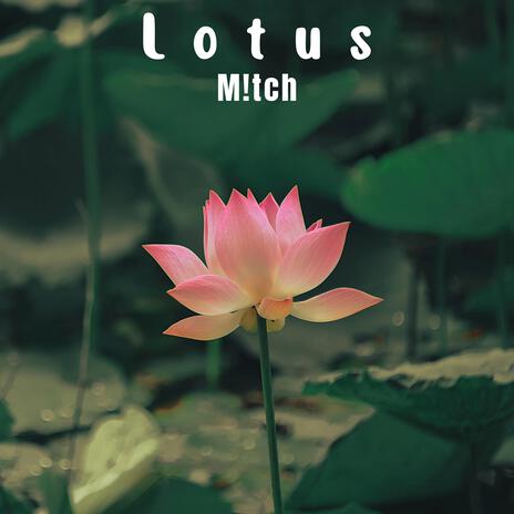 Lotus | Boomplay Music