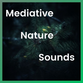 Mediative Nature Sounds
