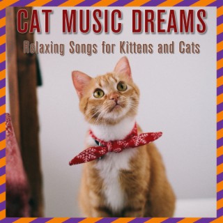 Cat Music Dreams: Relaxing songs for kittens and cats