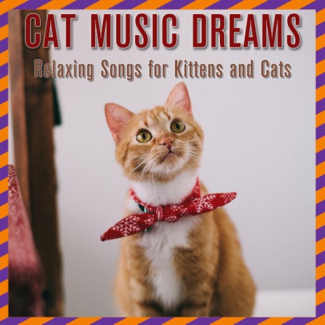 Winter ft. Cat Music & Cat Music Zone