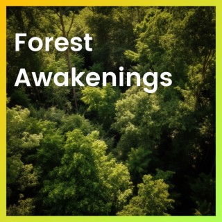 Forest Awakenings