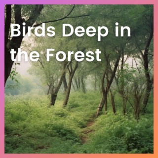 Birds Deep in the Forest