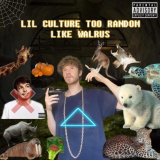 Lil Culture Too Random Like Walrus lyrics | Boomplay Music