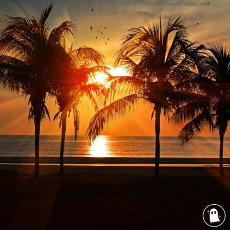 Dreaming Of Somewhere Tropical | Boomplay Music