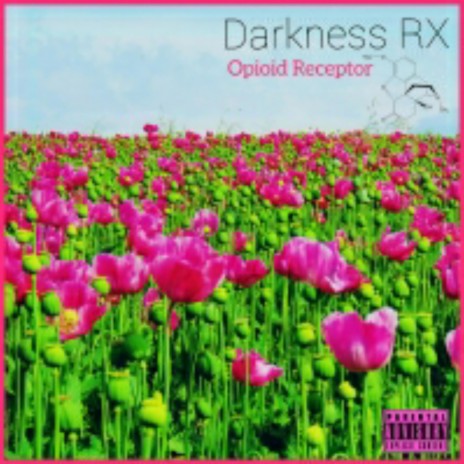 Pink Oxy | Boomplay Music