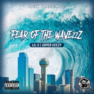Fear Of The WavezzZ