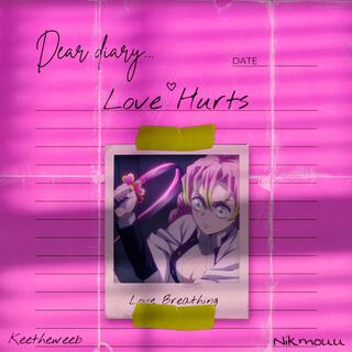 Love Hurts ft. Nikmouu lyrics | Boomplay Music