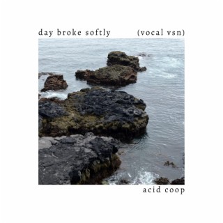 day broke softly (vocal vsn) lyrics | Boomplay Music
