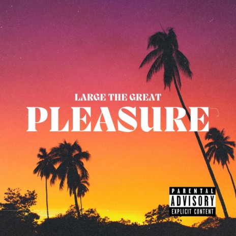 Pleasure | Boomplay Music