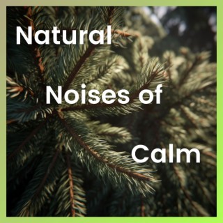 Natural Noises of Calm